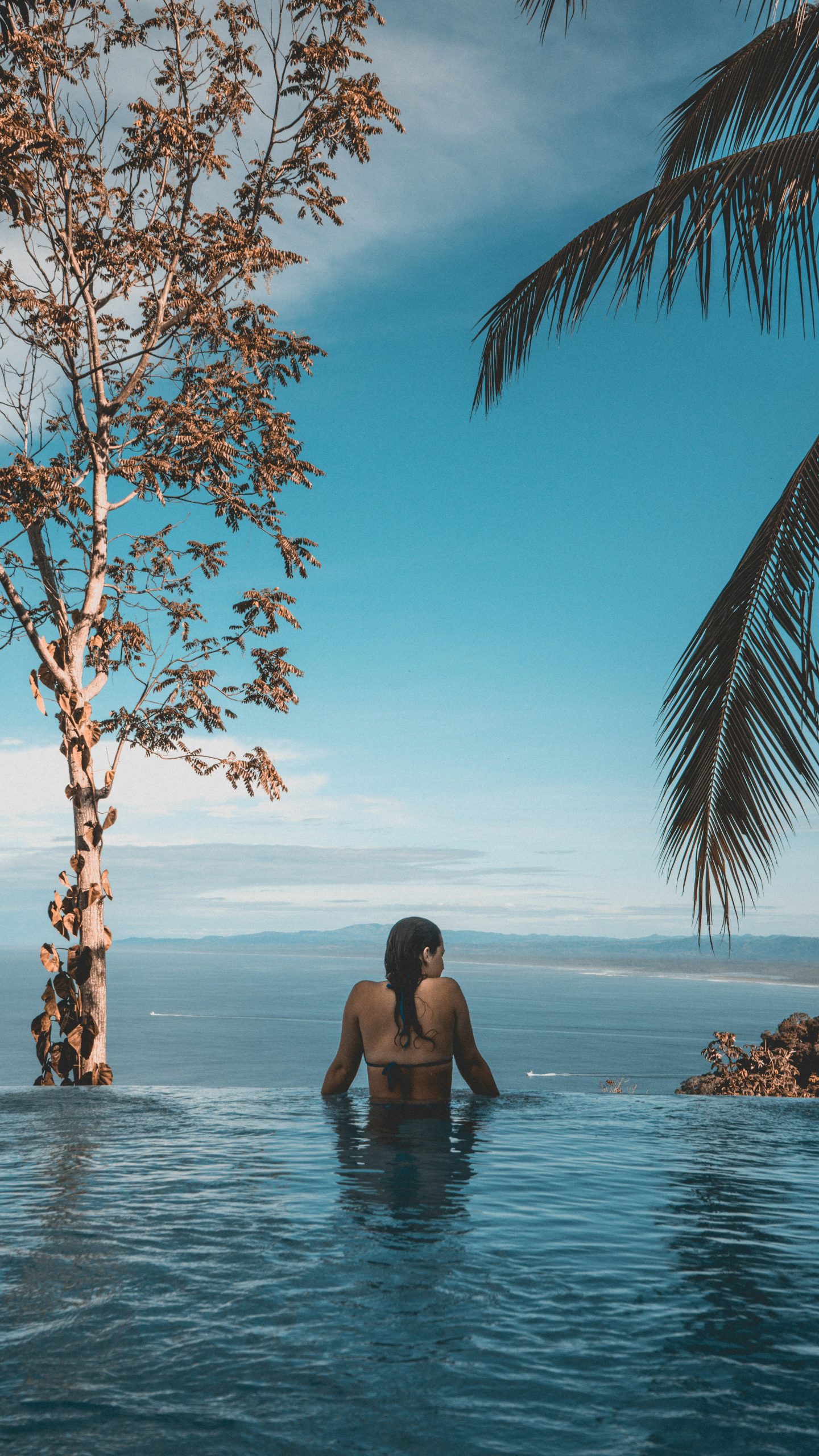 maximilien-t-scharner-FD0Ga_KJTwM-unsplash (1)